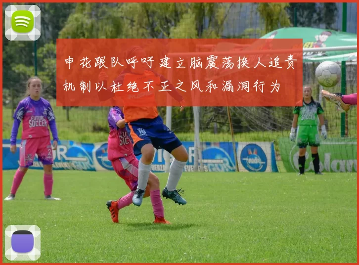 申花跟队呼吁建立脑震荡换人追责机制以杜绝不正之风和漏洞行为