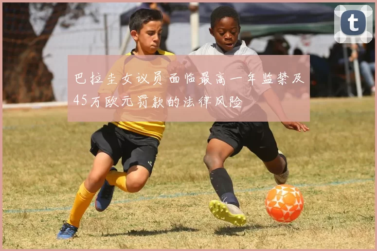 巴拉圭女议员面临最高一年监禁及45万欧元罚款的法律风险
